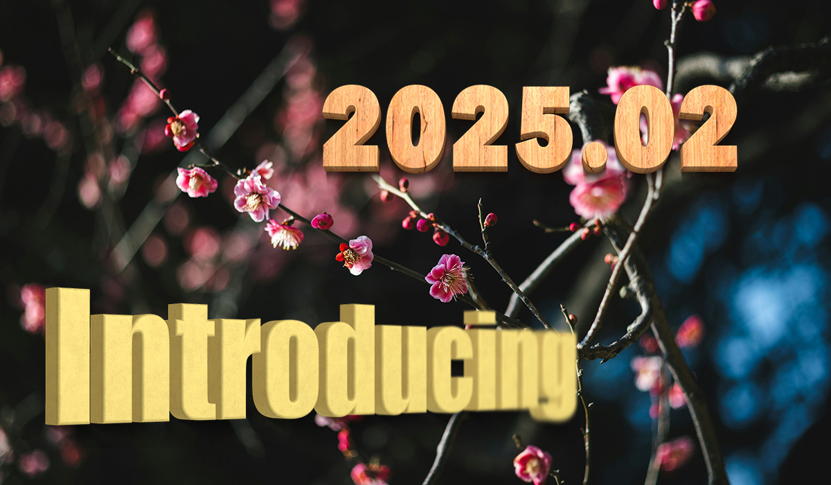 投稿についてもっと詳しく Introducing the balls – 2025.02