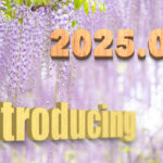 Introducing the balls – 2025.05