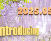 Introducing the balls – 2025.05