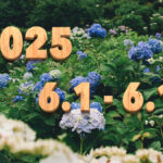 Stream News 2025 – 6.1〜6.10