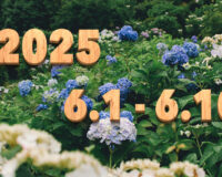 Stream News 2025 – 6.1〜6.10