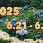 Stream News 2025 – 6.21〜6.30