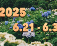 Stream News 2025 – 6.21〜6.30