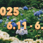 Stream News 2025 – 6.11〜6.20