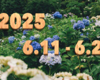 Stream News 2025 – 6.11〜6.20