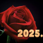 Introducing the balls – 2025.06