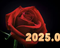 Introducing the balls – 2025.06
