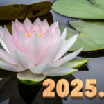 Introducing the balls – 2025.07