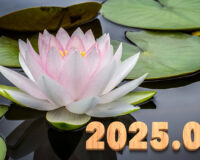 Introducing the balls – 2025.07