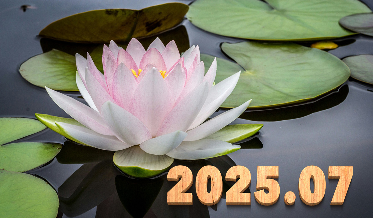 投稿についてもっと詳しく Introducing the balls – 2025.07