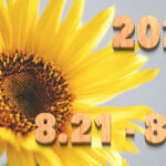 Stream News 2025 – 8.21〜8.31