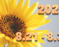 Stream News 2025 – 8.21〜8.31