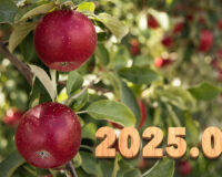 Introducing the balls – 2025.09