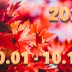 Stream News 2025 – 10.1〜10.10