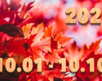 Stream News 2025 – 10.1〜10.10