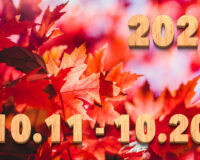 Stream News 2025 – 10.11〜10.20