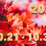 Stream News 2025 – 10.21〜10.31