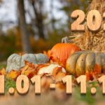 Stream News 2025 – 11.01〜11.10