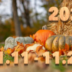 Stream News 2025 – 11.11〜11.20