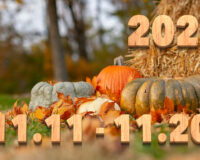 Stream News 2025 – 11.11〜11.20