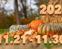 Stream News 2025 – 11.21〜11.30