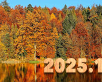 Introducing the balls – 2025.11