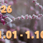 Stream News 2026 – 1.1〜1.10