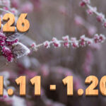 Stream News 2026 – 1.11〜1.20