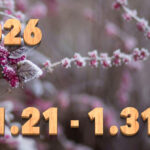 Stream News 2026 – 1.21〜1.31