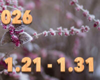 Stream News 2026 – 1.21〜1.31