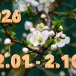 Stream News 2026 – 2.1〜2.10