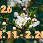 Stream News 2026 – 2.11〜2.20