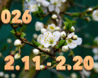 Stream News 2026 – 2.11〜2.20