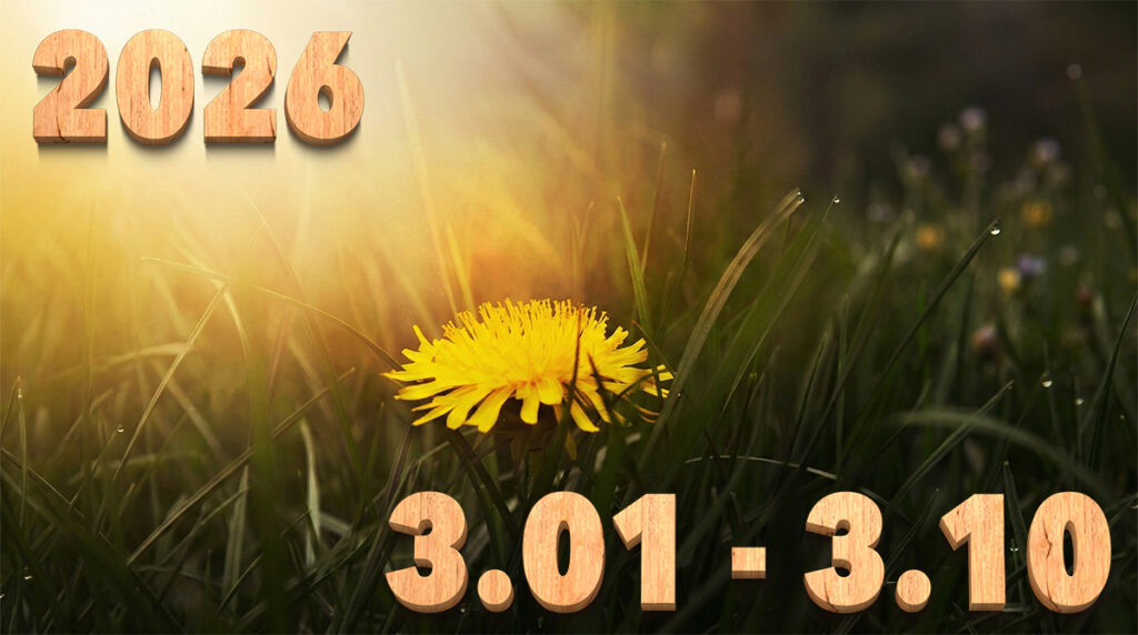 Stream News 2026 – 3.1〜3.10