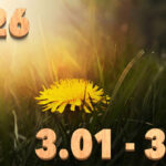 Stream News 2026 – 3.1〜3.10