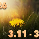 Stream News 2026 – 3.11〜3.20