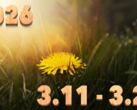 Stream News 2026 – 3.11〜3.20