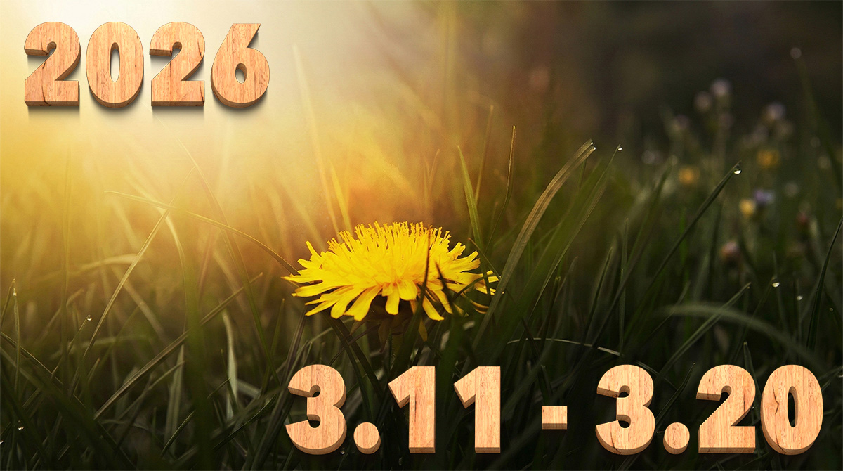 投稿についてもっと詳しく Stream News 2026 – 3.11〜3.20