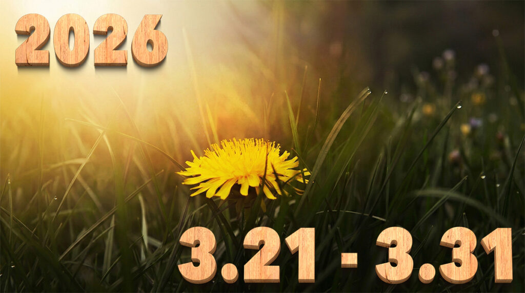 Stream News 2026 – 3.21〜3.31