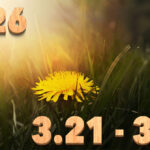 Stream News 2026 – 3.21〜3.31