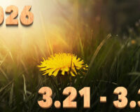 Stream News 2026 – 3.21〜3.31