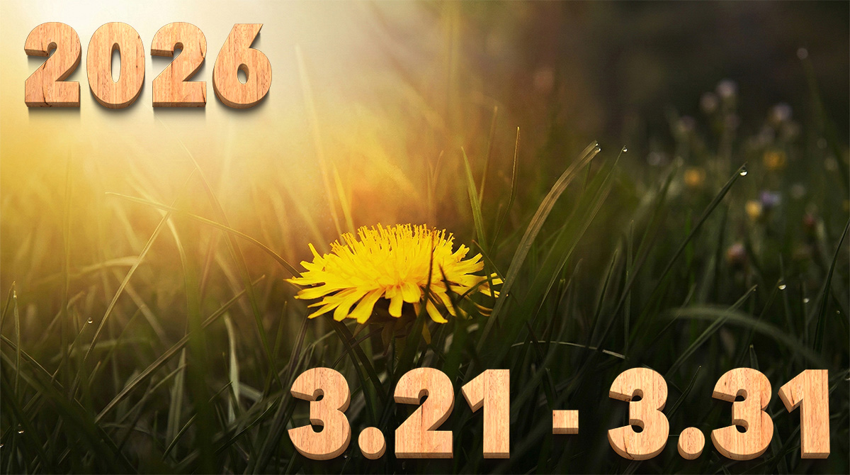 投稿についてもっと詳しく Stream News 2026 – 3.21〜3.31