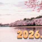 Introducing the balls – 2026.03