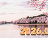 Introducing the balls – 2026.03