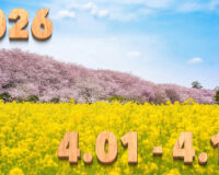 Stream News 2026 – 4.01〜4.10