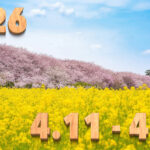 Stream News 2026 – 4.11〜4.20