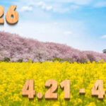 Stream News 2026 – 4.21〜4.30