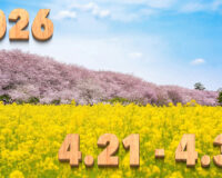 Stream News 2026 – 4.21〜4.30