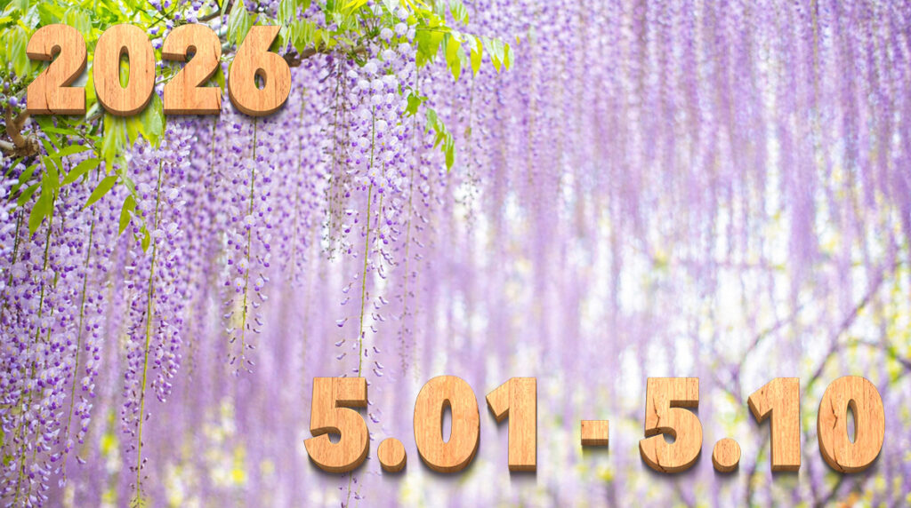 Stream News 2026 – 5.1〜5.10