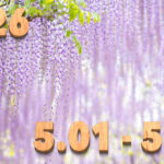 Stream News 2026 – 5.1〜5.10